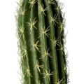 GloboStar® Artificial Garden CEREUS JAMACARU CACTUS 20120 Τεχνητό Διακοσμητικό Φυτό Κάκτος Κηρίος Υ110cm GloboStar® Artificial Garden CEREUS JAMACARU CACTUS 20120 Τεχνητό Διακοσμητικό Φυτό Κάκτος Κηρίος Υ110cm