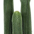 GloboStar® Artificial Garden CARNEGIEA CACTUS 20123 Τεχνητό Διακοσμητικό Φυτό Κάκτος Σαγκουάρο Υ160cm GloboStar® Artificial Garden CARNEGIEA CACTUS 20123 Τεχνητό Διακοσμητικό Φυτό Κάκτος Σαγκουάρο Υ160cm