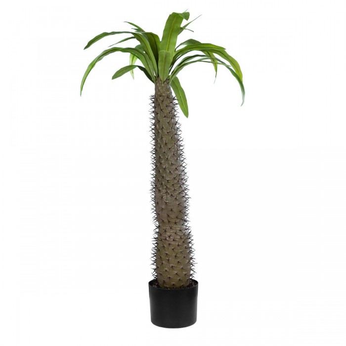 GloboStar® Artificial Garden PACHYPODIUM LAMEREI PALM TREE 20129 Τεχνητό Διακοσμητικό Φυτό Φοίνικας της Μαγαδασκάρης Υ105cm GloboStar® Artificial Garden PACHYPODIUM LAMEREI PALM TREE 20129 Τεχνητό Διακοσμητικό Φυτό Φοίνικας της Μαγαδασκάρης Υ105cm