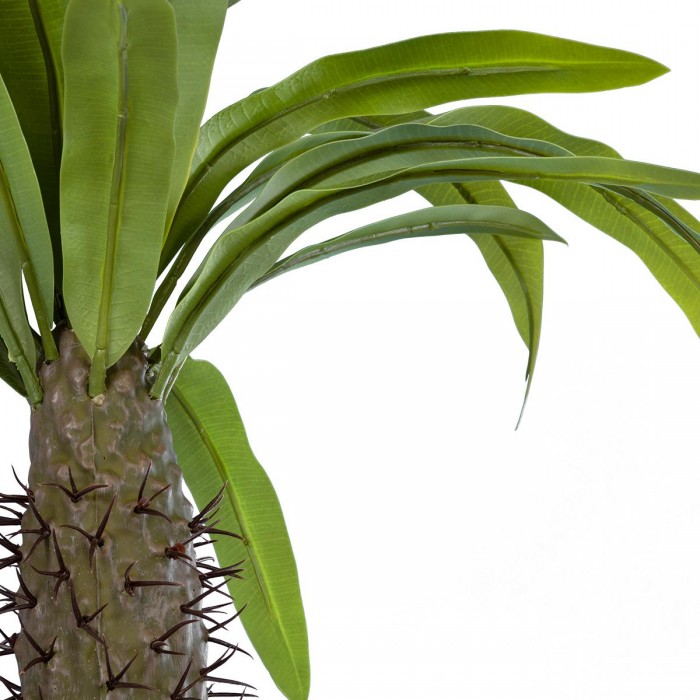 GloboStar® Artificial Garden PACHYPODIUM LAMEREI PALM TREE 20129 Τεχνητό Διακοσμητικό Φυτό Φοίνικας της Μαγαδασκάρης Υ105cm GloboStar® Artificial Garden PACHYPODIUM LAMEREI PALM TREE 20129 Τεχνητό Διακοσμητικό Φυτό Φοίνικας της Μαγαδασκάρης Υ105cm