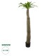 GloboStar® Artificial Garden PACHYPODIUM LAMEREI PALM TREE 20130 Τεχνητό Διακοσμητικό Φυτό Φοίνικας της Μαγαδασκάρης Υ175cm GloboStar® Artificial Garden PACHYPODIUM LAMEREI PALM TREE 20130 Τεχνητό Διακοσμητικό Φυτό Φοίνικας της Μαγαδασκάρης Υ175cm