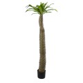 GloboStar® Artificial Garden PACHYPODIUM LAMEREI PALM TREE 20130 Τεχνητό Διακοσμητικό Φυτό Φοίνικας της Μαγαδασκάρης Υ175cm