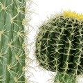 GloboStar® Artificial Garden CARNEGIEA CACTUS 20134 Τεχνητό Διακοσμητικό Φυτό Κάκτος Σαγκουάρο Υ150cm