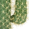 GloboStar® Artificial Garden CARNEGIEA CACTUS 20135 Τεχνητό Διακοσμητικό Φυτό Κάκτος Σαγκουάρο Υ180cm GloboStar® Artificial Garden CARNEGIEA CACTUS 20135 Τεχνητό Διακοσμητικό Φυτό Κάκτος Σαγκουάρο Υ180cm