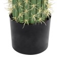 GloboStar® Artificial Garden CARNEGIEA CACTUS 20135 Τεχνητό Διακοσμητικό Φυτό Κάκτος Σαγκουάρο Υ180cm GloboStar® Artificial Garden CARNEGIEA CACTUS 20135 Τεχνητό Διακοσμητικό Φυτό Κάκτος Σαγκουάρο Υ180cm