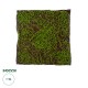 GloboStar® Artificial Garden BRYOPHYTA 20143 Τεχνητό Διακοσμητικό Πάνελ Φυλλωσιάς - Κάθετος Κήπος Βρύα Μ100 x Π100 x Υ5cm