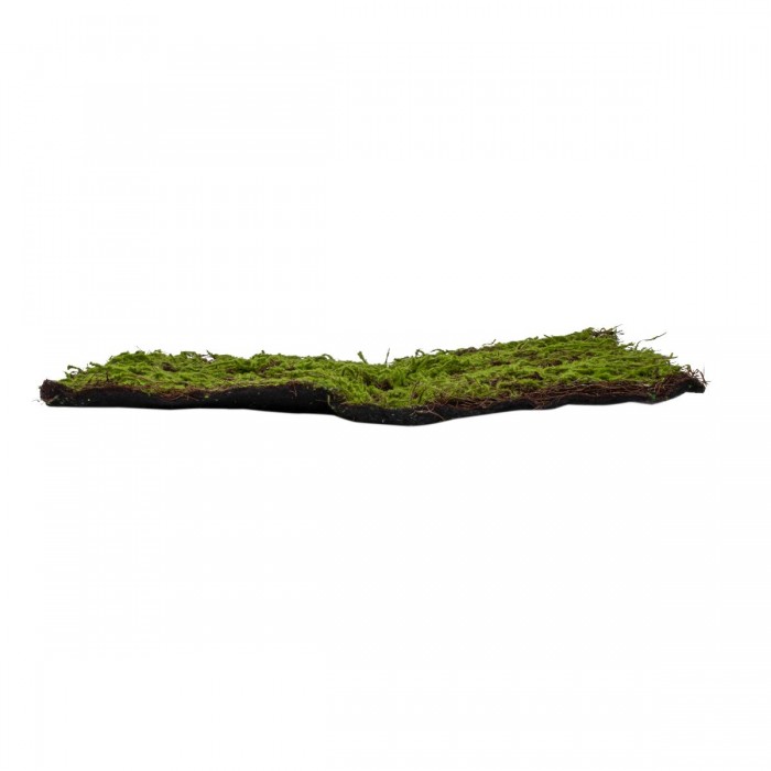 GloboStar® Artificial Garden BRYOPHYTA 20143 Τεχνητό Διακοσμητικό Πάνελ Φυλλωσιάς - Κάθετος Κήπος Βρύα Μ100 x Π100 x Υ5cm