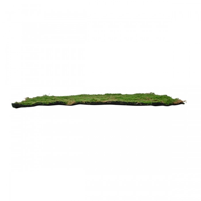 GloboStar® Artificial Garden BRYOPHYTA 20144 Τεχνητό Διακοσμητικό Πάνελ Φυλλωσιάς - Κάθετος Κήπος Βρύα Μ100 x Π100 x Υ3cm