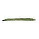 GloboStar® Artificial Garden BRYOPHYTA 20144 Τεχνητό Διακοσμητικό Πάνελ Φυλλωσιάς - Κάθετος Κήπος Βρύα Μ100 x Π100 x Υ3cm