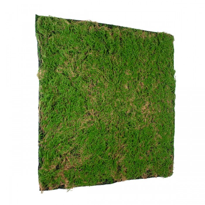 GloboStar® Artificial Garden BRYOPHYTA 20144 Τεχνητό Διακοσμητικό Πάνελ Φυλλωσιάς - Κάθετος Κήπος Βρύα Μ100 x Π100 x Υ3cm