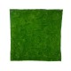 GloboStar® Artificial Garden BRYOPHYTA 20145 Τεχνητό Διακοσμητικό Πάνελ Φυλλωσιάς - Κάθετος Κήπος Βρύα Μ100 x Π100 x Υ3cm