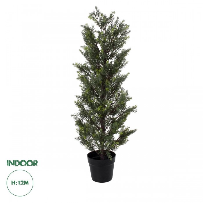 GloboStar® Artificial Garden LEMON CYPRESS 20151 Τεχνητό Διακοσμητικό Φυτό Λεμονόκυπάρισσο Υ120cm GloboStar® Artificial Garden LEMON CYPRESS 20151 Τεχνητό Διακοσμητικό Φυτό Λεμονόκυπάρισσο Υ120cm