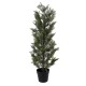 GloboStar® Artificial Garden LEMON CYPRESS 20151 Τεχνητό Διακοσμητικό Φυτό Λεμονόκυπάρισσο Υ120cm GloboStar® Artificial Garden LEMON CYPRESS 20151 Τεχνητό Διακοσμητικό Φυτό Λεμονόκυπάρισσο Υ120cm