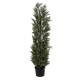 GloboStar® Artificial Garden LEMON CYPRESS 20152 Τεχνητό Διακοσμητικό Φυτό Λεμονόκυπάρισσο Υ150cm GloboStar® Artificial Garden LEMON CYPRESS 20152 Τεχνητό Διακοσμητικό Φυτό Λεμονόκυπάρισσο Υ150cm
