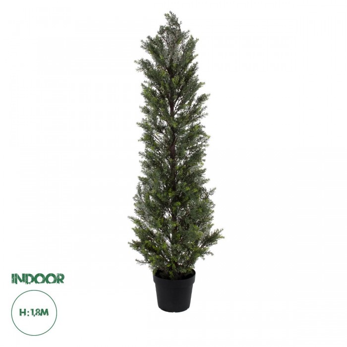 GloboStar® Artificial Garden LEMON CYPRESS 20153 Τεχνητό Διακοσμητικό Φυτό Λεμονόκυπάρισσο Υ180cm GloboStar® Artificial Garden LEMON CYPRESS 20153 Τεχνητό Διακοσμητικό Φυτό Λεμονόκυπάρισσο Υ180cm