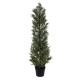 GloboStar® Artificial Garden LEMON CYPRESS 20153 Τεχνητό Διακοσμητικό Φυτό Λεμονόκυπάρισσο Υ180cm GloboStar® Artificial Garden LEMON CYPRESS 20153 Τεχνητό Διακοσμητικό Φυτό Λεμονόκυπάρισσο Υ180cm