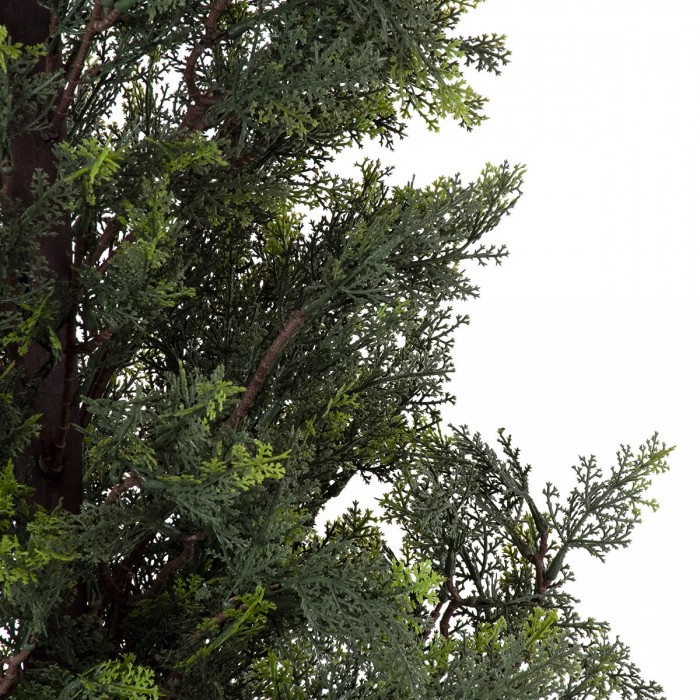 GloboStar® Artificial Garden LEMON CYPRESS 20153 Τεχνητό Διακοσμητικό Φυτό Λεμονόκυπάρισσο Υ180cm GloboStar® Artificial Garden LEMON CYPRESS 20153 Τεχνητό Διακοσμητικό Φυτό Λεμονόκυπάρισσο Υ180cm