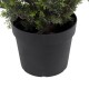GloboStar® Artificial Garden LEMON CYPRESS 20153 Τεχνητό Διακοσμητικό Φυτό Λεμονόκυπάρισσο Υ180cm GloboStar® Artificial Garden LEMON CYPRESS 20153 Τεχνητό Διακοσμητικό Φυτό Λεμονόκυπάρισσο Υ180cm