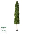 GloboStar® Artificial Garden BUXUS 20158 Τεχνητό Διακοσμητικό Φυτό Πυξός Υ250cm GloboStar® Artificial Garden BUXUS 20158 Τεχνητό Διακοσμητικό Φυτό Πυξός Υ250cm