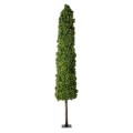 GloboStar® Artificial Garden BUXUS 20158 Τεχνητό Διακοσμητικό Φυτό Πυξός Υ250cm GloboStar® Artificial Garden BUXUS 20158 Τεχνητό Διακοσμητικό Φυτό Πυξός Υ250cm