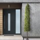 GloboStar® Artificial Garden BUXUS 20158 Τεχνητό Διακοσμητικό Φυτό Πυξός Υ250cm