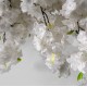 GloboStar® Artificial Garden ALMOND TREE 20163 Τεχνητό Διακοσμητικό Δέντρο Αμυγδαλιά Υ340cm GloboStar® Artificial Garden ALMOND TREE 20163 Τεχνητό Διακοσμητικό Δέντρο Αμυγδαλιά Υ340cm