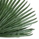 GloboStar® Artificial Garden WASHINGTONIA FILIFERA PALM LEAF 20171 Τεχνητό Διακοσμητικό Φύλο Φοινικόδεντρου Βεντάλια Π170 x Υ200cm GloboStar® Artificial Garden WASHINGTONIA FILIFERA PALM LEAF 20171 Τεχνητό Διακοσμητικό Φύλο Φοινικόδεντρου Βεντάλια Π170 x Υ200cm
