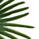 GloboStar® Artificial Garden SERENOA PALM LEAF 20174 Τεχνητό Διακοσμητικό Φύλο Φοινικόδεντρου Σερενόα Βεντάλια Π90 x Υ170cm