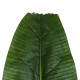 GloboStar® Artificial Garden BANANA TREE LEAF 20177 Τεχνητό Διακοσμητικό Φύλο Μπανανιάς - Μπανανόδεντρου Π30 x Υ100cm