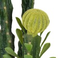 GloboStar® Artificial Garden CEREUS JAMACARU CACTUS 20193 Τεχνητό Διακοσμητικό Φυτό Κάκτος Κηρίος Υ120cm GloboStar® Artificial Garden CEREUS JAMACARU CACTUS 20193 Τεχνητό Διακοσμητικό Φυτό Κάκτος Κηρίος Υ120cm