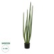 GloboStar® Artificial Garden SANSEVIERIA CYLINDRICA 20210 Τεχνητό Διακοσμητικό Φυτό Σανσεβιέρια Υ120cm GloboStar® Artificial Garden SANSEVIERIA CYLINDRICA 20210 Τεχνητό Διακοσμητικό Φυτό Σανσεβιέρια Υ120cm