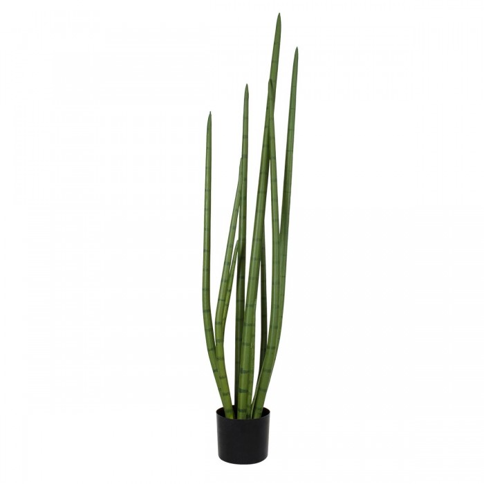 GloboStar® Artificial Garden SANSEVIERIA CYLINDRICA 20210 Τεχνητό Διακοσμητικό Φυτό Σανσεβιέρια Υ120cm GloboStar® Artificial Garden SANSEVIERIA CYLINDRICA 20210 Τεχνητό Διακοσμητικό Φυτό Σανσεβιέρια Υ120cm
