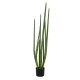 GloboStar® Artificial Garden SANSEVIERIA CYLINDRICA 20210 Τεχνητό Διακοσμητικό Φυτό Σανσεβιέρια Υ120cm GloboStar® Artificial Garden SANSEVIERIA CYLINDRICA 20210 Τεχνητό Διακοσμητικό Φυτό Σανσεβιέρια Υ120cm
