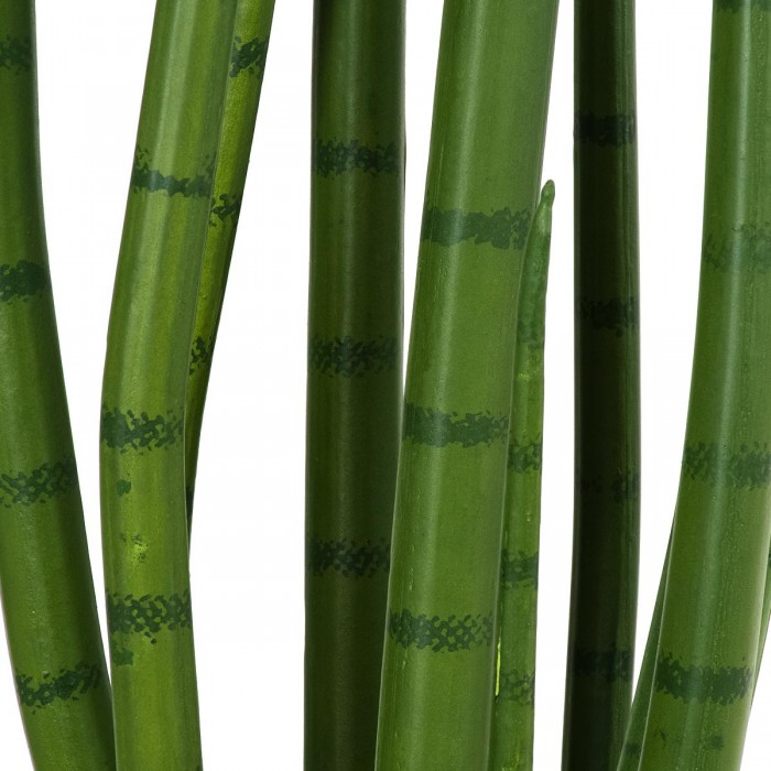 GloboStar® Artificial Garden SANSEVIERIA CYLINDRICA 20210 Τεχνητό Διακοσμητικό Φυτό Σανσεβιέρια Υ120cm GloboStar® Artificial Garden SANSEVIERIA CYLINDRICA 20210 Τεχνητό Διακοσμητικό Φυτό Σανσεβιέρια Υ120cm