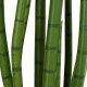 GloboStar® Artificial Garden SANSEVIERIA CYLINDRICA 20210 Τεχνητό Διακοσμητικό Φυτό Σανσεβιέρια Υ120cm GloboStar® Artificial Garden SANSEVIERIA CYLINDRICA 20210 Τεχνητό Διακοσμητικό Φυτό Σανσεβιέρια Υ120cm