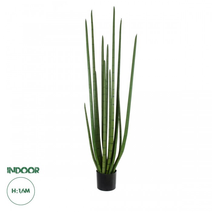 GloboStar® Artificial Garden SANSEVIERIA CYLINDRICA 20211 Τεχνητό Διακοσμητικό Φυτό Σανσεβιέρια Υ160cm GloboStar® Artificial Garden SANSEVIERIA CYLINDRICA 20211 Τεχνητό Διακοσμητικό Φυτό Σανσεβιέρια Υ160cm
