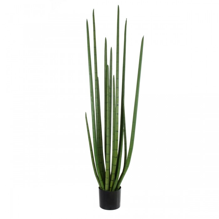 GloboStar® Artificial Garden SANSEVIERIA CYLINDRICA 20211 Τεχνητό Διακοσμητικό Φυτό Σανσεβιέρια Υ160cm GloboStar® Artificial Garden SANSEVIERIA CYLINDRICA 20211 Τεχνητό Διακοσμητικό Φυτό Σανσεβιέρια Υ160cm
