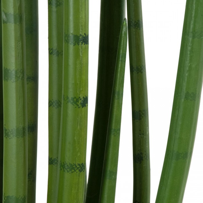 GloboStar® Artificial Garden SANSEVIERIA CYLINDRICA 20211 Τεχνητό Διακοσμητικό Φυτό Σανσεβιέρια Υ160cm GloboStar® Artificial Garden SANSEVIERIA CYLINDRICA 20211 Τεχνητό Διακοσμητικό Φυτό Σανσεβιέρια Υ160cm