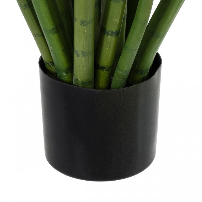 GloboStar® Artificial Garden SANSEVIERIA CYLINDRICA 20211 Τεχνητό Διακοσμητικό Φυτό Σανσεβιέρια Υ160cm GloboStar® Artificial Garden SANSEVIERIA CYLINDRICA 20211 Τεχνητό Διακοσμητικό Φυτό Σανσεβιέρια Υ160cm