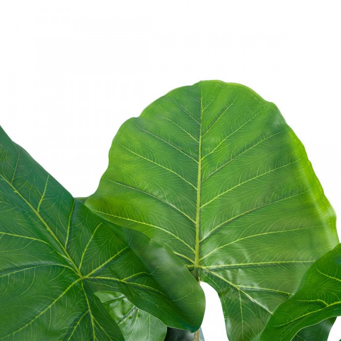 GloboStar® Artificial Garden TARO 20216 Τεχνητό Διακοσμητικό Φυτό Κολοκασία Υ140cm GloboStar® Artificial Garden TARO 20216 Τεχνητό Διακοσμητικό Φυτό Κολοκασία Υ140cm