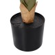 GloboStar® Artificial Garden TARO 20216 Τεχνητό Διακοσμητικό Φυτό Κολοκασία Υ140cm GloboStar® Artificial Garden TARO 20216 Τεχνητό Διακοσμητικό Φυτό Κολοκασία Υ140cm