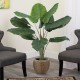 GloboStar® Artificial Garden TARO 20216 Τεχνητό Διακοσμητικό Φυτό Κολοκασία Υ140cm GloboStar® Artificial Garden TARO 20216 Τεχνητό Διακοσμητικό Φυτό Κολοκασία Υ140cm