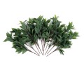 GloboStar® Artificial Garden LAURUS NOBILIS BRANCH 20225 10 x Τεχνητά Διακοσμητικά Κλαδία Δάφνης Π45 x Υ60cm GloboStar® Artificial Garden LAURUS NOBILIS BRANCH 20225 10 x Τεχνητά Διακοσμητικά Κλαδία Δάφνης Π45 x Υ60cm