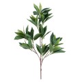 GloboStar® Artificial Garden LAURUS NOBILIS BRANCH 20225 10 x Τεχνητά Διακοσμητικά Κλαδία Δάφνης Π45 x Υ60cm GloboStar® Artificial Garden LAURUS NOBILIS BRANCH 20225 10 x Τεχνητά Διακοσμητικά Κλαδία Δάφνης Π45 x Υ60cm