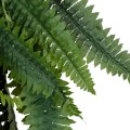 GloboStar® Artificial Garden FERN HANGING BRANCH 20247 Τεχνητό Διακοσμητικό Κρεμαστό Φυτό Φτέρη Υ120cm GloboStar® Artificial Garden FERN HANGING BRANCH 20247 Τεχνητό Διακοσμητικό Κρεμαστό Φυτό Φτέρη Υ120cm