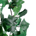 GloboStar® Artificial Garden IVY HANGING BRANCH 20252 Τεχνητό Διακοσμητικό Κρεμαστό Φυτό Κισσός Υ130cm GloboStar® Artificial Garden IVY HANGING BRANCH 20252 Τεχνητό Διακοσμητικό Κρεμαστό Φυτό Κισσός Υ130cm