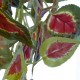 GloboStar® Artificial Garden COLEUS HANGING BRANCH 20255 Τεχνητό Διακοσμητικό Κρεμαστό Φυτό Κολέος Υ90cm GloboStar® Artificial Garden COLEUS HANGING BRANCH 20255 Τεχνητό Διακοσμητικό Κρεμαστό Φυτό Κολέος Υ90cm