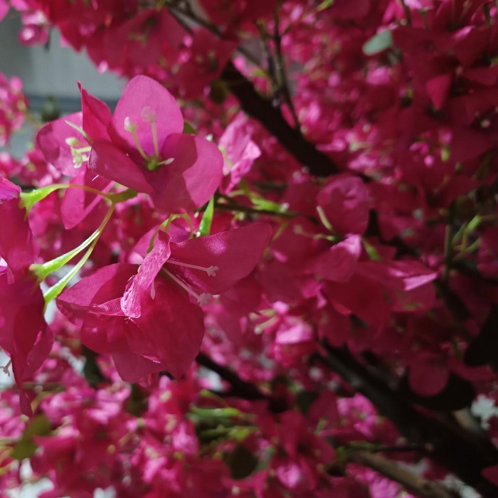 GloboStar® Artificial Garden RHODODENDRON TREE 20363 Τεχνητό Διακοσμητικό Δέντρο Ροδόδενδρο Υ350cm GloboStar® Artificial Garden RHODODENDRON TREE 20363 Τεχνητό Διακοσμητικό Δέντρο Ροδόδενδρο Υ350cm
