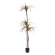 GloboStar® Artificial Garden DRAGON BLOOD TREE 20371 Τεχνητό Διακοσμητικό Φυτό Δράκαινα Υ220cm
