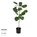 GloboStar® Artificial Garden POLYSCIAS BALFOURIANA TREE 20373 Τεχνητό Διακοσμητικό Φυτό Πολυσκιά Υ70cm GloboStar® Artificial Garden POLYSCIAS BALFOURIANA TREE 20373 Τεχνητό Διακοσμητικό Φυτό Πολυσκιά Υ70cm